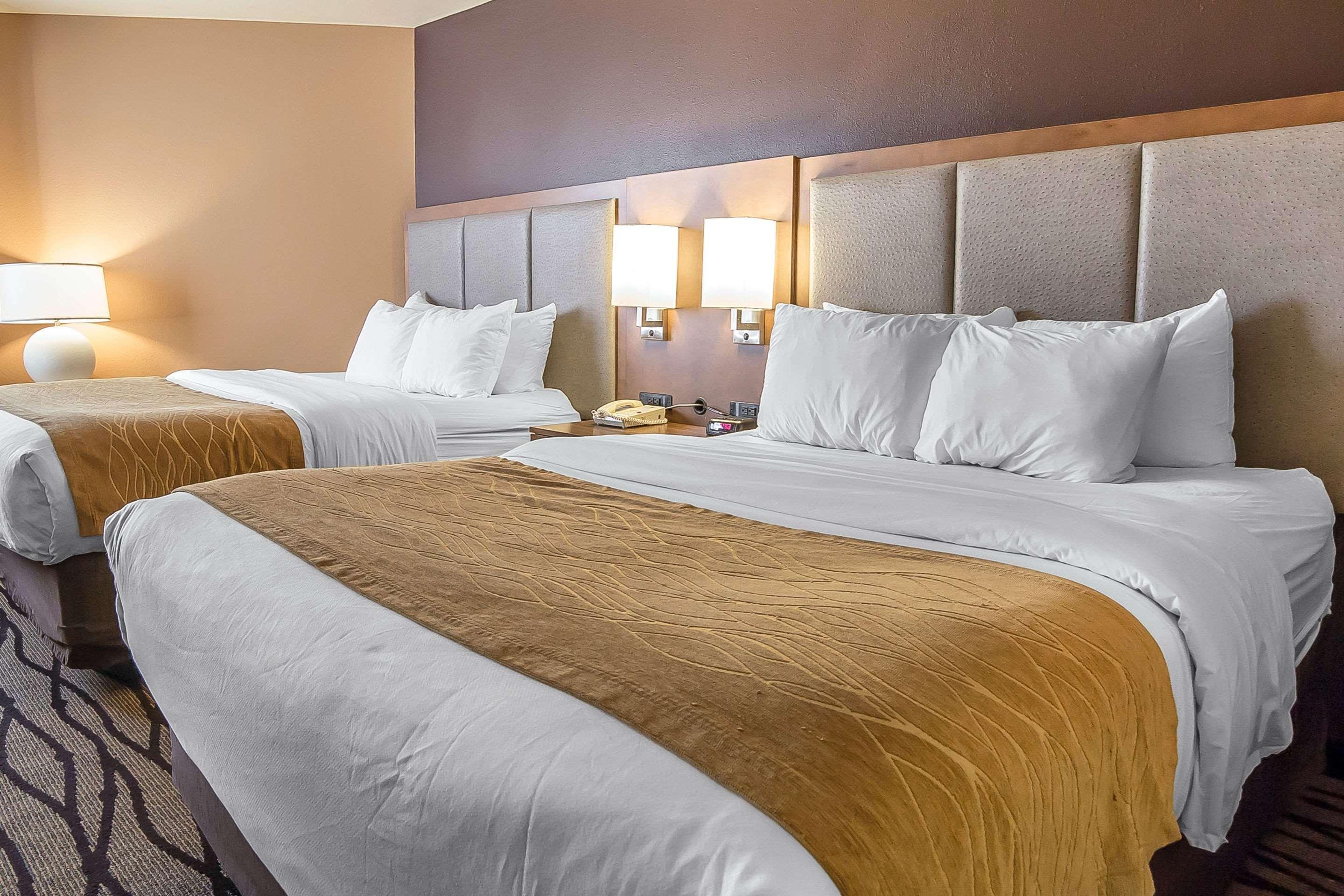 Comfort Inn & Suites Market - Airport Грейт Фолс Екстериор снимка