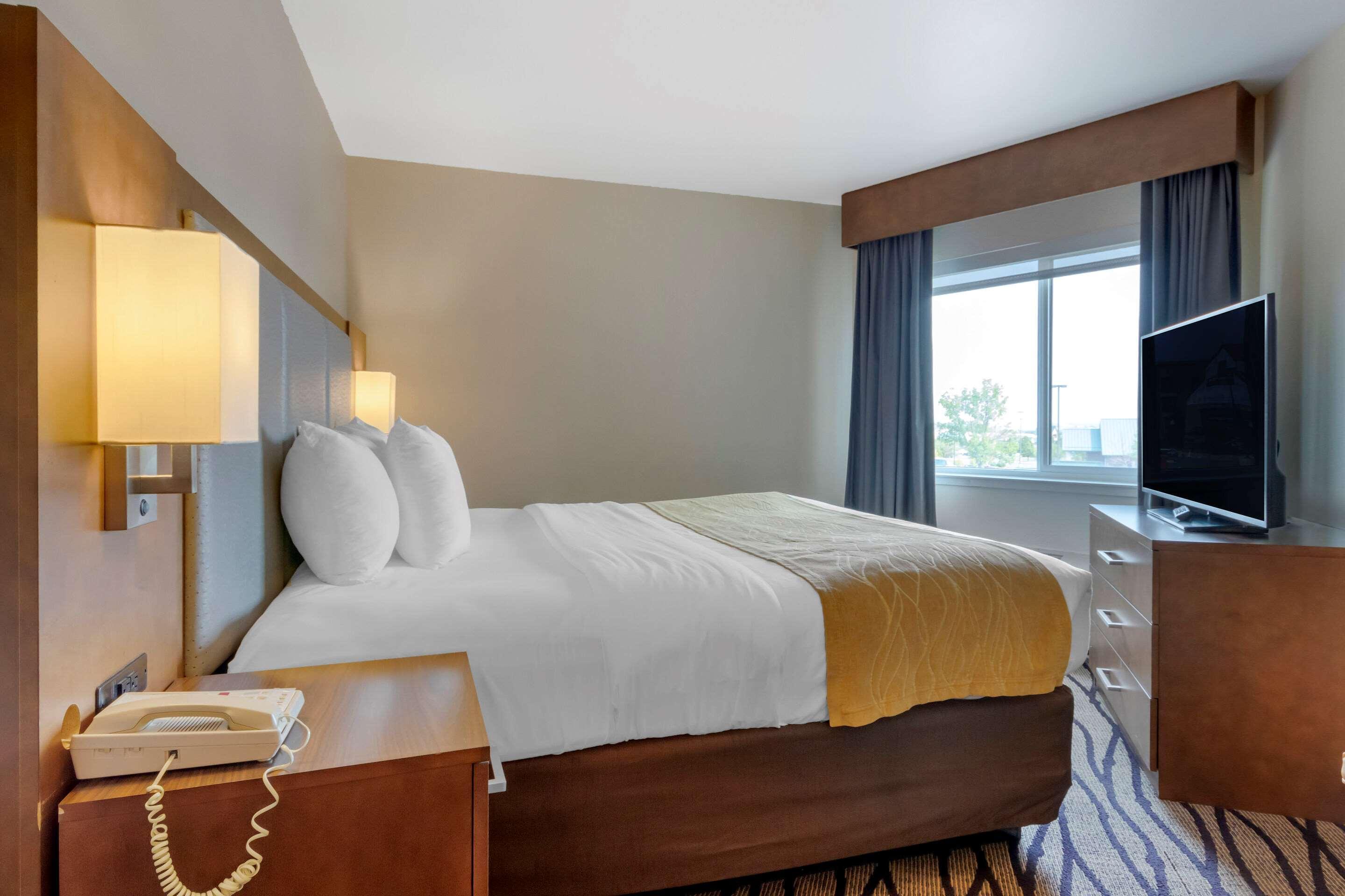 Comfort Inn & Suites Market - Airport Грейт Фолс Екстериор снимка